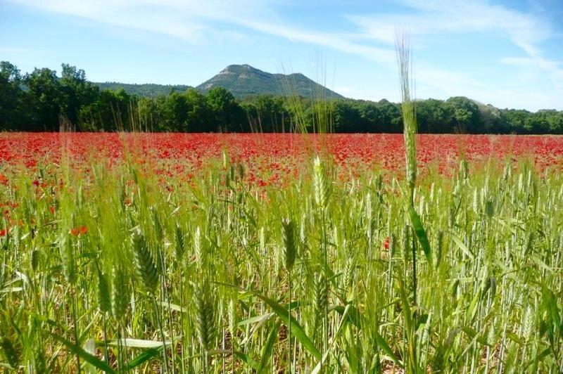 Au Puits De La Fontaine Ξενοδοχείο Tavernes Εξωτερικό φωτογραφία